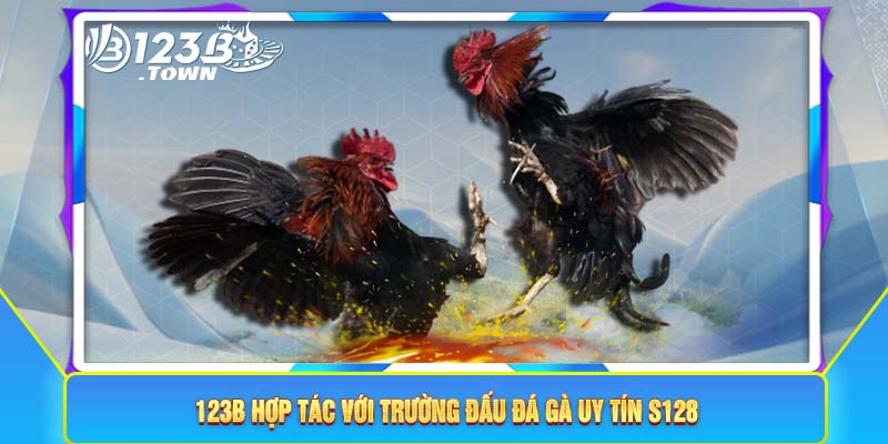 123B hợp tác với trường đấu đá gà uy tín S128