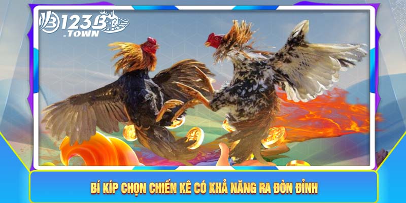 Bí kíp chọn chiến kê có khả năng ra đòn đỉnhBí kíp chọn chiến kê có khả năng ra đòn đỉnh