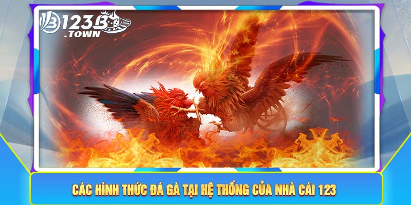 Các hình thức đá gà tại hệ thống của nhà cái 123