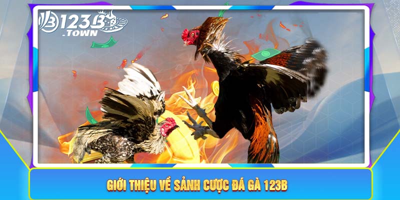 Giới thiệu về sảnh cược đá gà 123B 