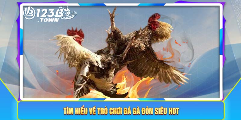 Tìm hiểu về trò chơi đá gà đòn siêu hot