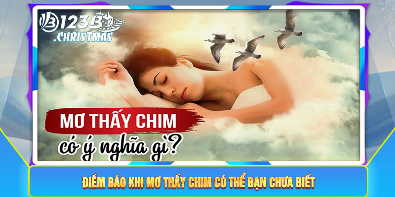 Điềm báo khi mơ thấy chim có thể bạn chưa biết