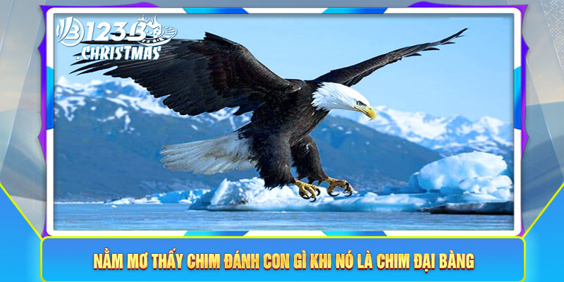 Nằm mơ thấy chim đánh con gì khi nó là chim đại bàng