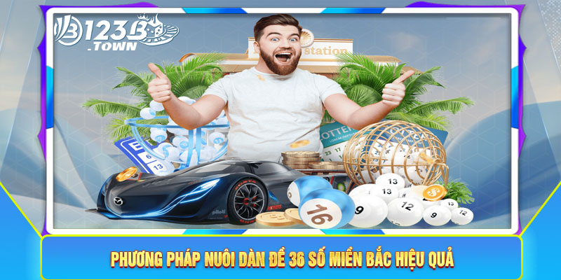 Phương pháp nuôi dàn đề 36 số miền bắc hiệu quả