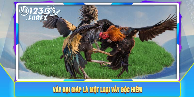 Vảy đại giáp là một loại vảy độc hiếm