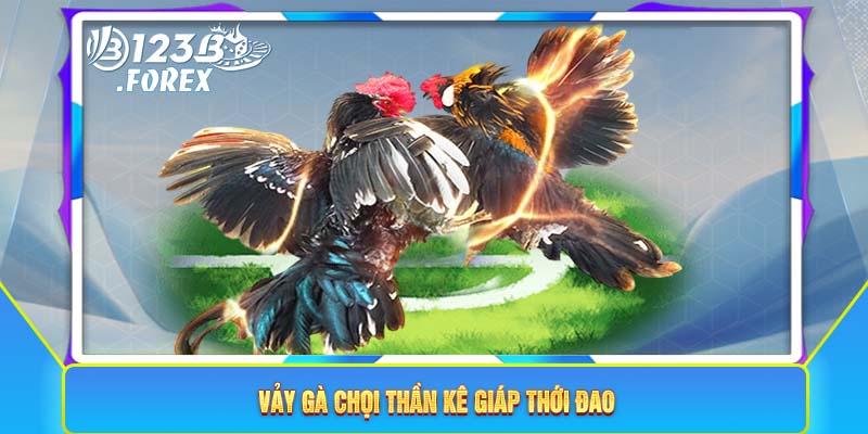 Vảy gà chọi thần kê giáp thới đao