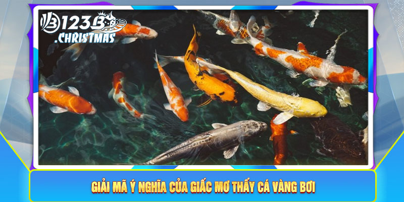 Giải mã ý nghĩa của giấc mơ thấy cá vàng bơi