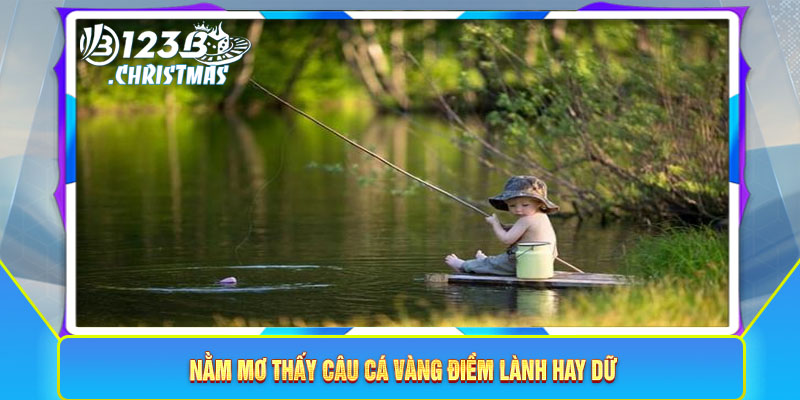 Nằm mơ thấy câu cá vàng điềm lành hay dữ