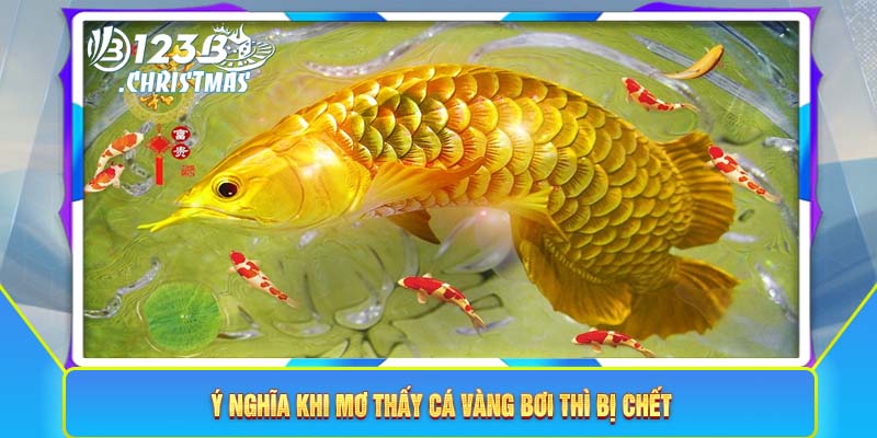 Ý nghĩa khi mơ thấy cá vàng bơi thì bị chết